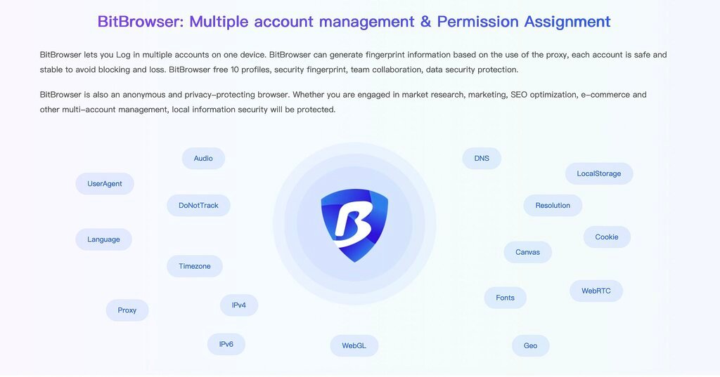BitBrowser Overview